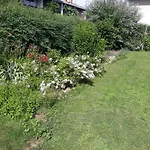 Baci For 4 Guests In Rose شقة