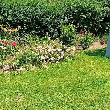 Baci For 4 Guests In Rose Apartmán *