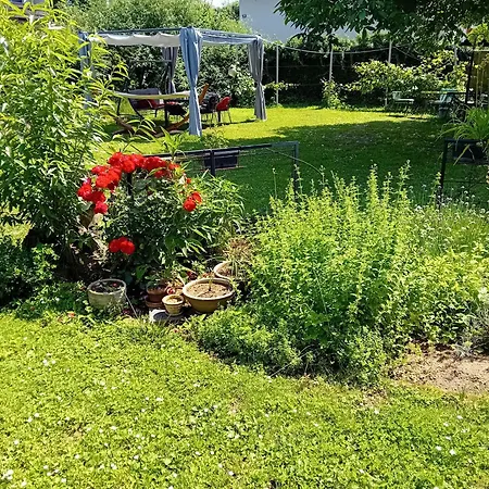 Baci For 4 Guests Apartmán *