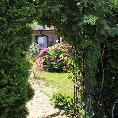 Baci Green Retreat, Roseart Resort * Ljubljana