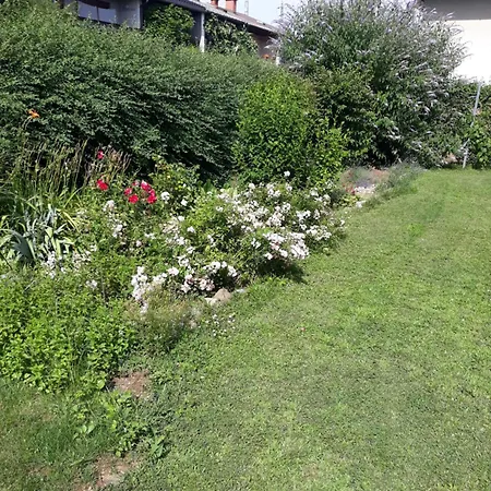 Baci In Rose Apartman