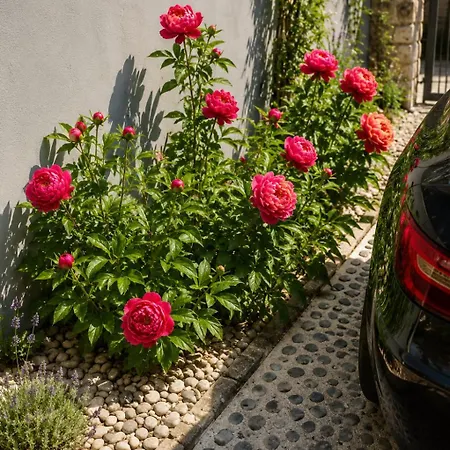 Baci Green Retreat, Roseart Resort Appartement