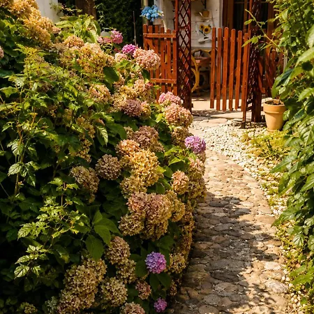Baci In Rose Apartman *