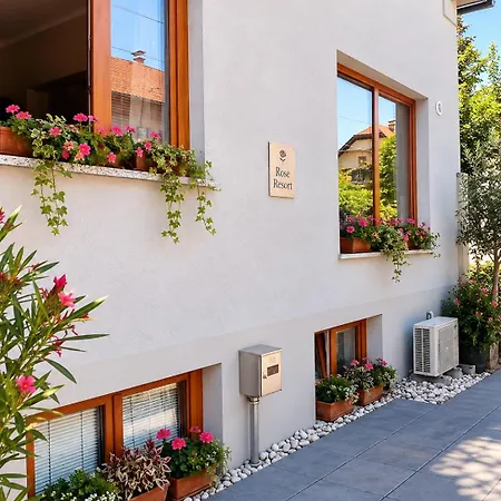 Baci Retreat, Roseart