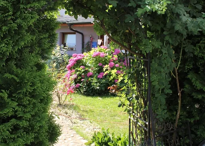 Baci For 4 Guests In Rose * Lublaň