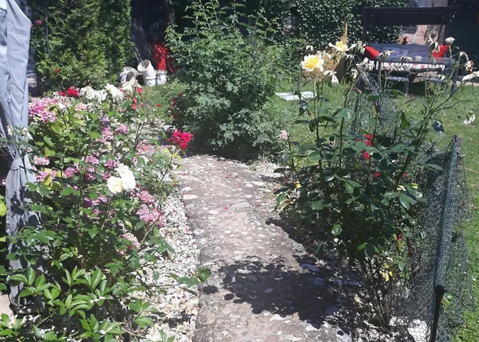 Baci For 4 Guests In Rose