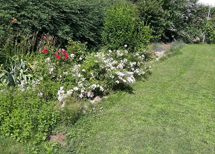 Baci For 4 Guests In Rose Lägenhet